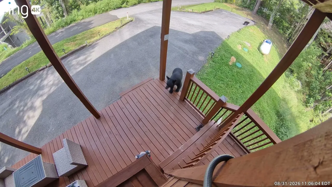 Still from the video: On the front deck, 31 August